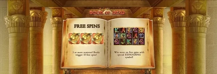 Book of Dead 
